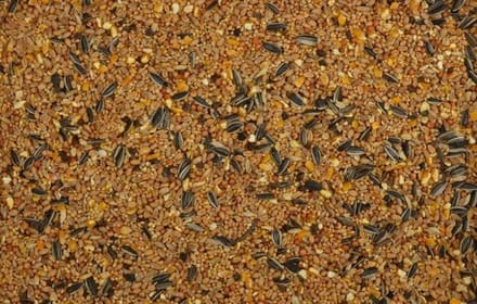 Wielink Strooivoer 20KG