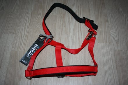 Horze gevoerd halster - rood - pony