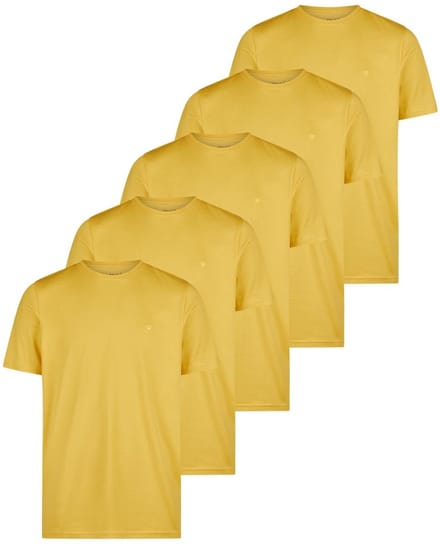 Redmond Heren t-shirt 5 pack Basic