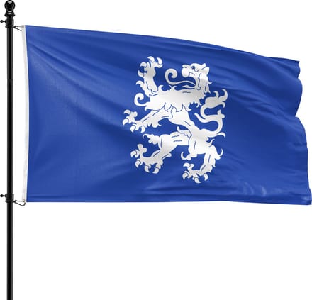VlagDirect - Heemskerk vlag - Gemeente Heemskerk vlag - 90 x 150 cm.