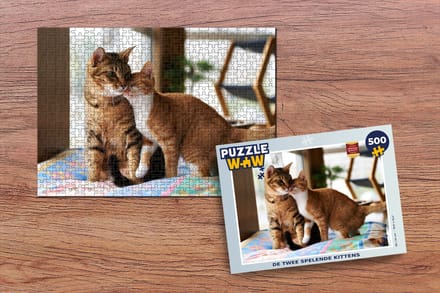 Puzzel De twee spelende kittens - Legpuzzel - Puzzel 500 stukjes