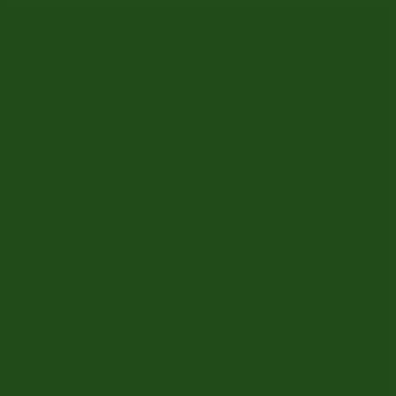 Servetten 38x38cm 40 stuks Colour Soft Touch green forest