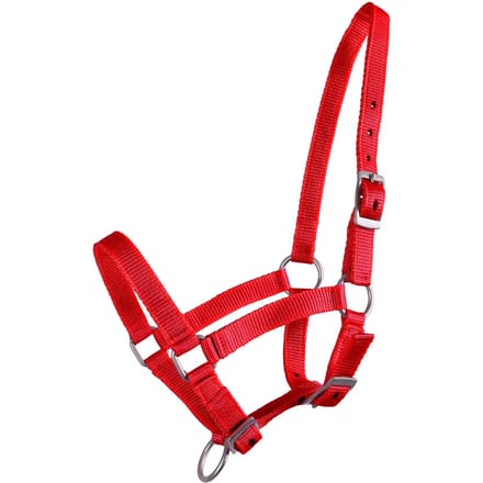 Q-essentials Veulenhalster Q-essentials Mini Rood