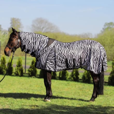 Zebra Staldeken met Halsbescherming voor Paard York