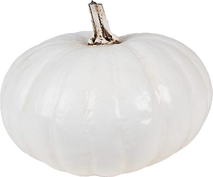Clayre & Eef Decoratie Pompoen Ø 17x13 cm Wit Polyresin Herfst decoratie