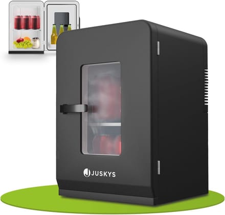Kleine 2-in-1 Mini Koelkast 15L – Mobiele Drank- en Snacks Koeler en Verwarmer