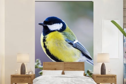 Behang - Fotobehang Koolmees - Vogel - Tak - Breedte 200 cm x hoogte 300 cm