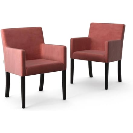 Set van 2 eetkamerstoelen Escape velvet | NADUVI Collection