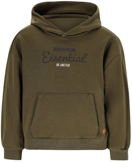 Like Flo winter hoodie jongens - groen - Dail