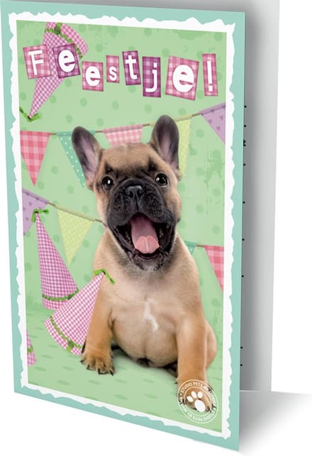 Studio Pets - 6 Dubbele Uitnodigingen Met Envelop – Ik Geef Een Feest !