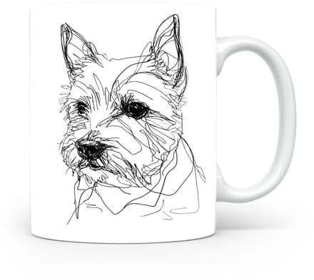 Beker Norwich Terrier