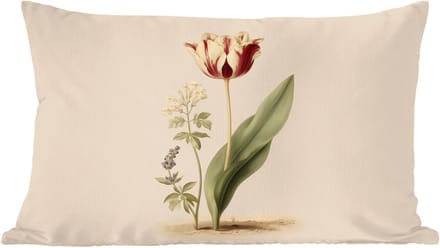 Sierkussens - Kussentjes Woonkamer - 60x40 cm - Tulp - Minimalistisch - Beige