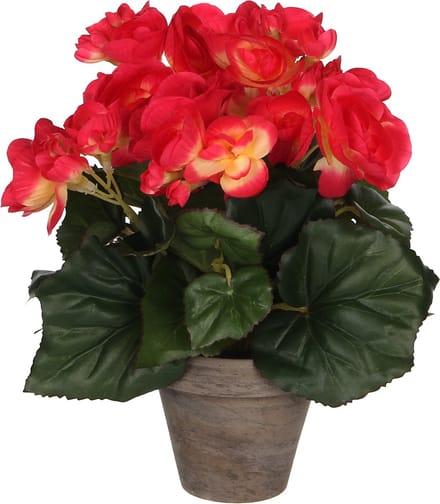 Mica Decorations Begonia Kunstplant in Bloempot Stan - H25 x Ø20 cm - Donkerroze