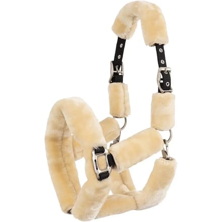 Bont halster voor paard ANKY Fluffy