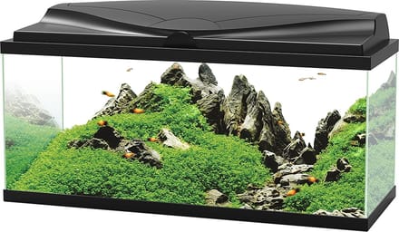 Ciano Aquarium - LED Bio Zwart - 74 liter - 80x30x41,5 cm