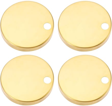 Allecto - Set van 4 Gouden Toiletbril Scharnier Covers - 60mm Rvs