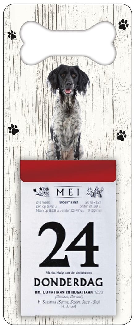 Scheurkalender 2027 Hond: Grote Münsterlander