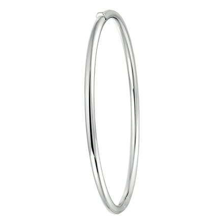 Bangle Scharnier Ronde Buis 3 X 60 Mm
