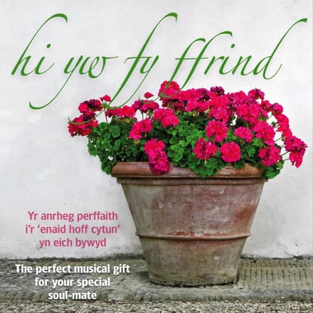 Various Artists - Hi Yw Fy Ffrind (CD)