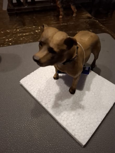 staffordshire bullterrier