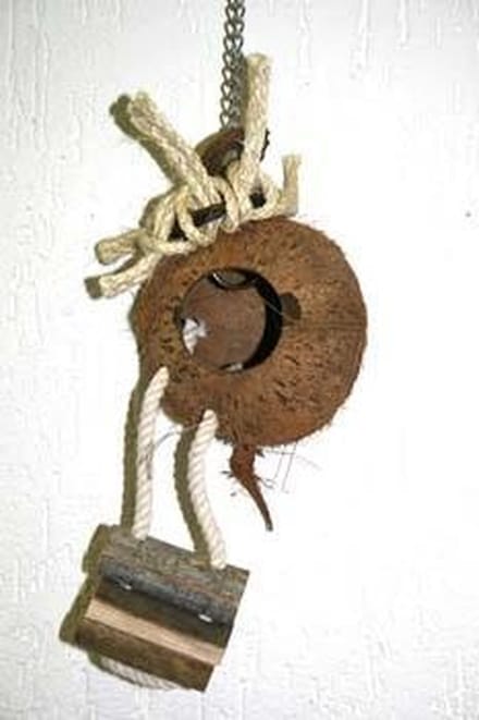 Coconut ladder