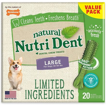 Set van 10 hondenspeeltjes Nylabone Nutri Dent Large TU