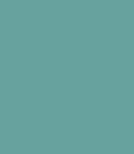 Carte Colori Calcare Kalkverf Menta CC117 1 Liter