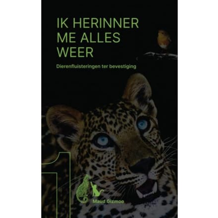 Ik Herinner Me Alles Weer - Maud Gizmoo