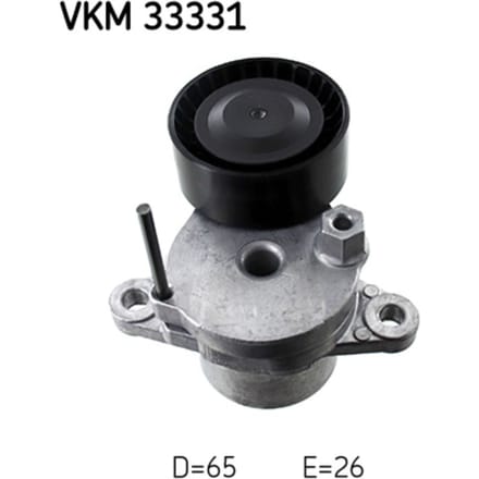 Riemspanner, Poly V-riem SKF VKM 33331