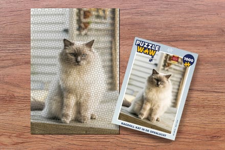 Puzzel Ragdoll kat in de openlucht - Legpuzzel - Puzzel 1000 stukjes volwassenen