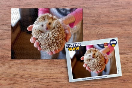 Puzzel Egel wordt vastgehouden - Legpuzzel - Puzzel 500 stukjes