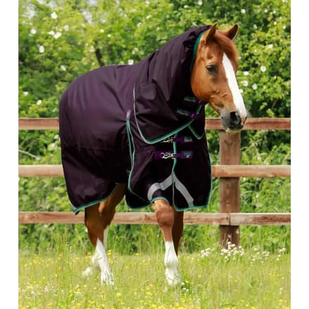 Premier Equine Buster 200g With Snug-fit Neck Cover Uitloopkleed Paars 191 cm - M Neck