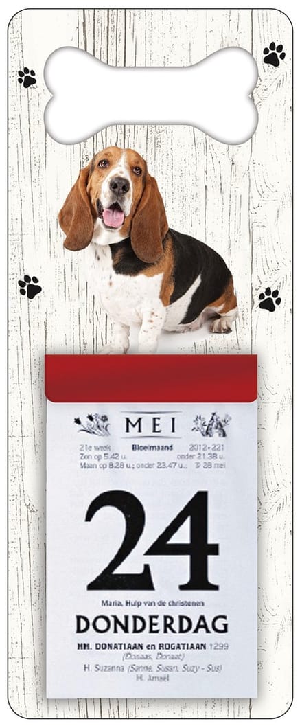 Scheurkalender 2027 Hond: Basset ArtÃ©sien Normand
