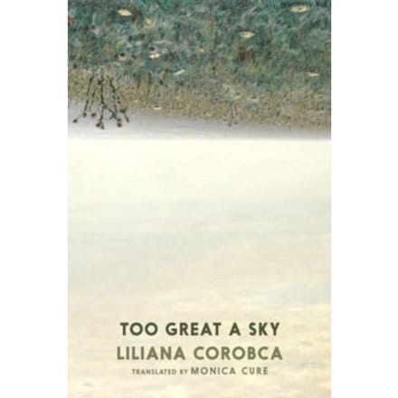 Te Grote Hemel door Liliana Corobca Paperback Boek 9781911710134