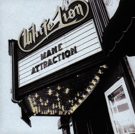 Mane Attraction - White Lion