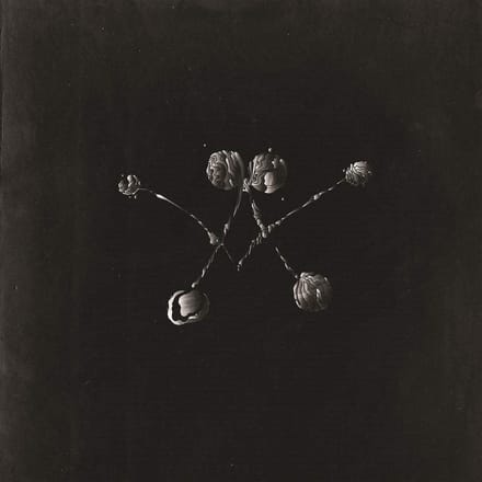 Waterstrider - Nowhere Now (LP)