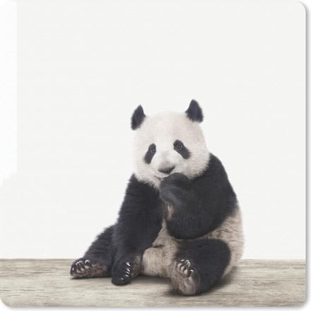 Muismat 20x20 cm - Mousepad Dieren - Panda - Zwart - Wit - Muismatten