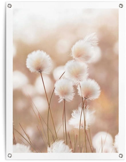 Tuinposter Katoentak - 80 x 60 - Canvas - REINDERS