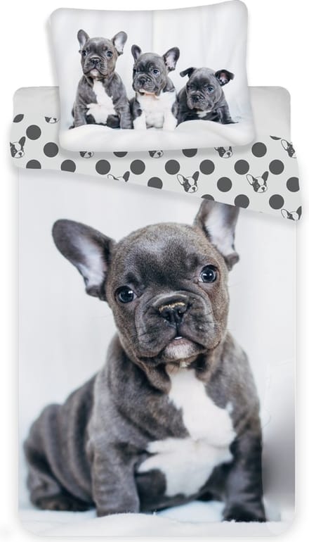 Animal Pictures Bulldog - Dekbedovertrek - Eenpersoons - 140 x 200 / 70 x 90 cm - Katoen