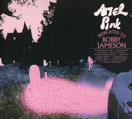 Dedicated To Bobby Jameson - Ariel Pink