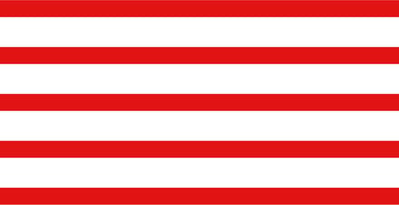 Vlag Haacht 150x225cm