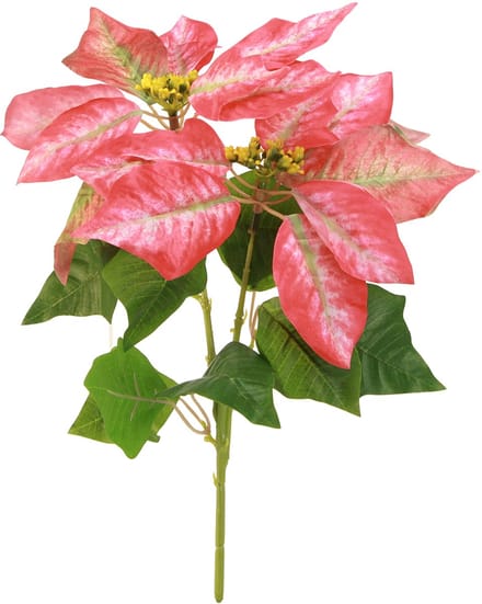 Kunst Poinsettia Rood Roze L35cm 6st 2 bosjes, 6 Stück