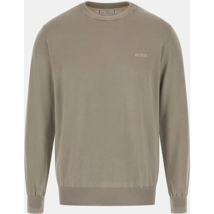 GUESS  Eco Chesley Washed Ls Cn Sage Plant Größe: S | Pullover Outlet | Herren | Grün