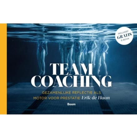 Teamcoaching - Erik de Haan