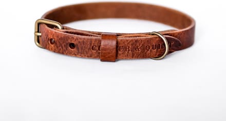 Cooper & Quint No Fuss - Halsband Hond - Leren Halsband Hond - Bruin - Oud messing - Medium