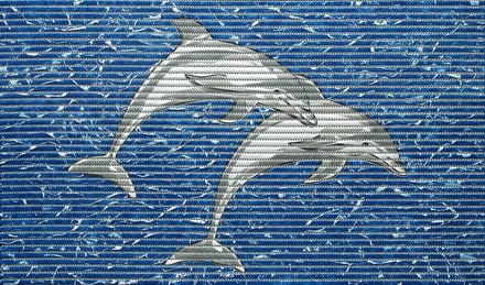1x Friedola Universele Mat Dolphin | 80x48cm | Badmat Badkamermat Douchemat | Dolfijn