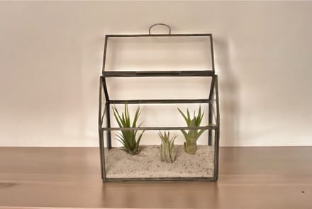 WinQ- Terrarium van glas met grijs metaal 17x11x15cm-plantenterrarium