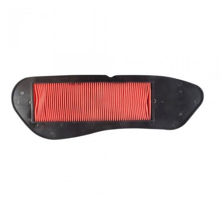 Luchtfilter Filtrex voor Scooter Yamaha 250 YP X-MAX ABS 2011 tot 2016 Nieuw