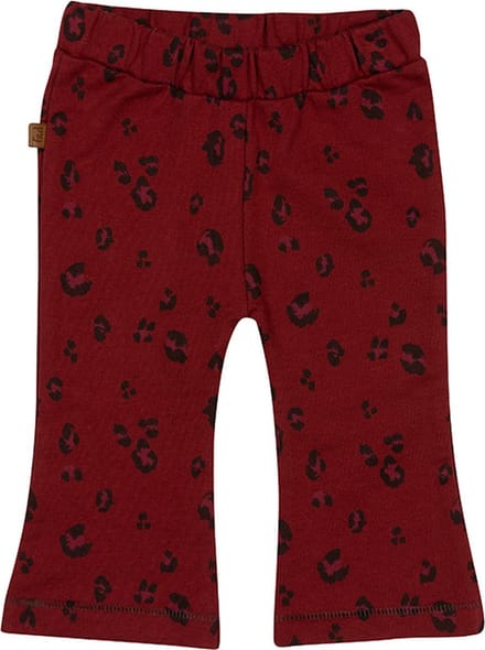Frogs and Dogs - Wild About You Flair Pants - - Maat 68 -