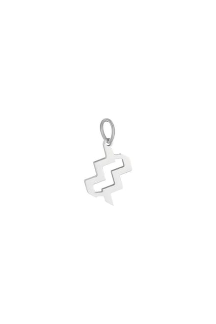 Hanger - chinees sterrenbeeld - zilver - stainless steel - kado - kerst